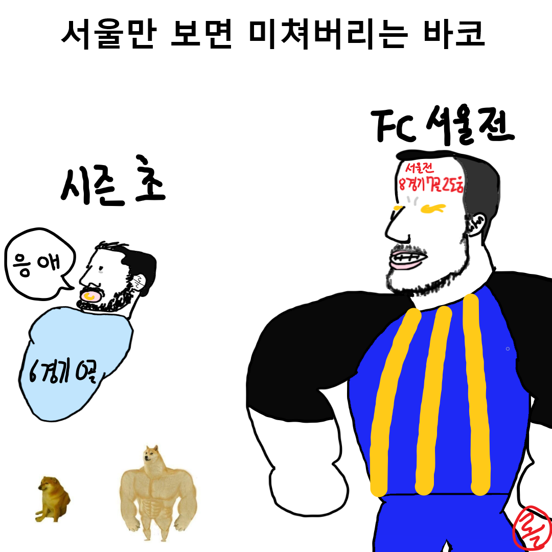 53. 13라운드 서울전 만평.png